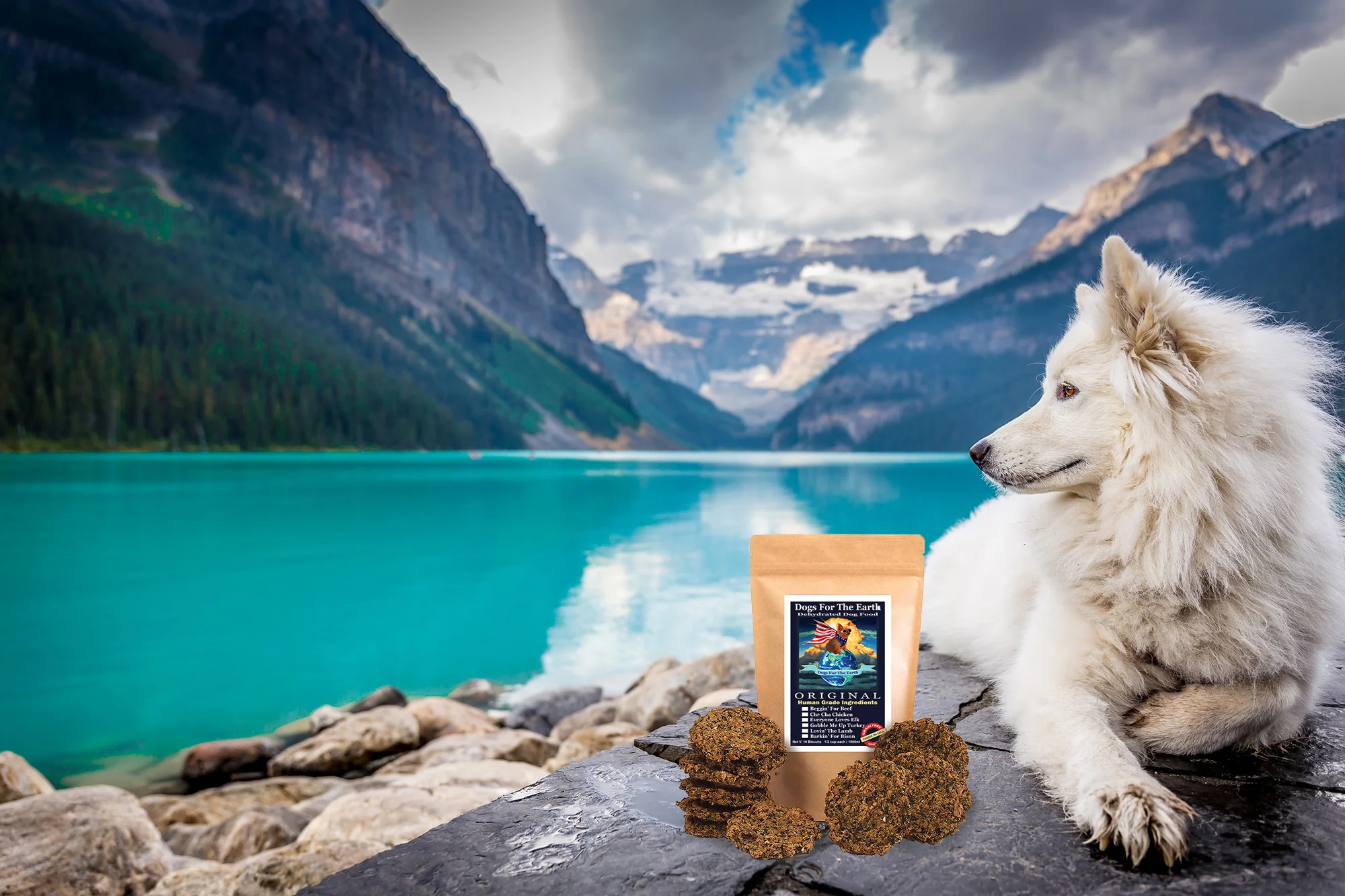Pure Nutrition Your Dog Deserves